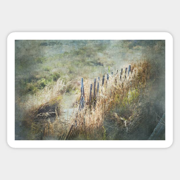 Heavenly Fences Sticker by Susan Werby